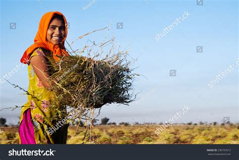 Indian Girl Working On Farm Near Stock Photo 236737612 | Shutterstock