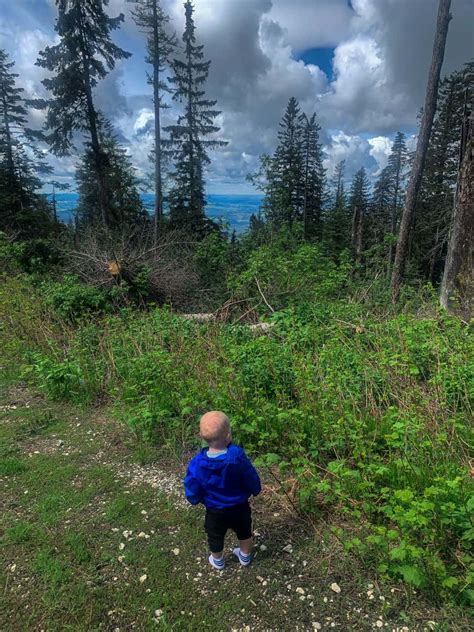 27 Easy Hikes in Spokane: Family Friendly Trails and Parks! - K and ...