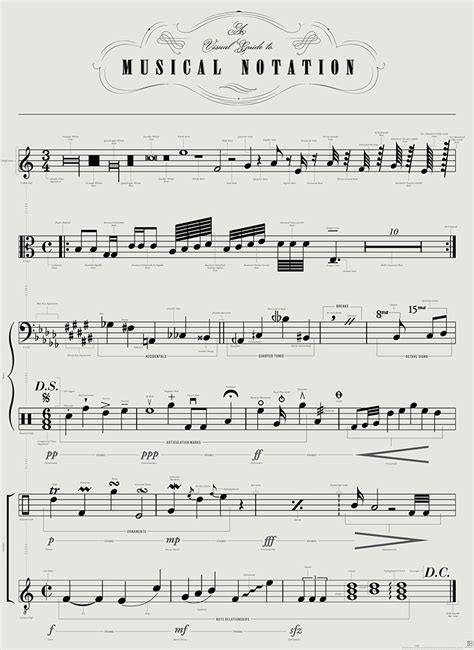 'A Visual Guide to Musical Notation' by Pop Chart Lab Featuring Symbols ...