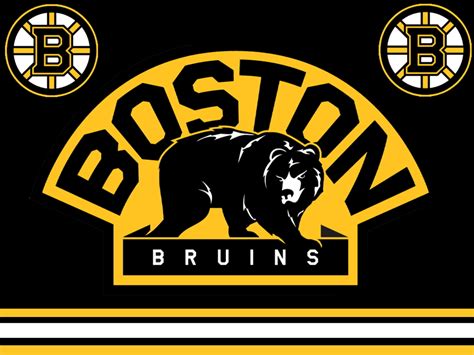 History of All Logos: All Boston Bruins Logos