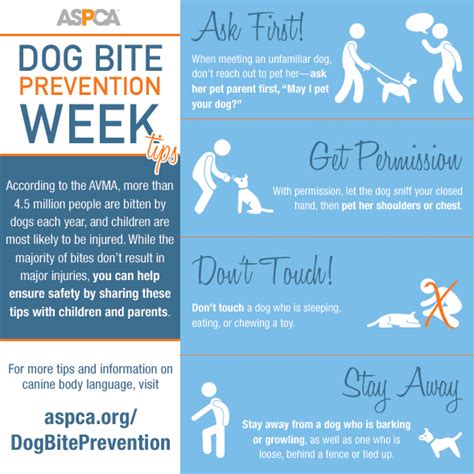 It's Dog Bite Prevention Week: Read Our Safety Tips | ASPCA