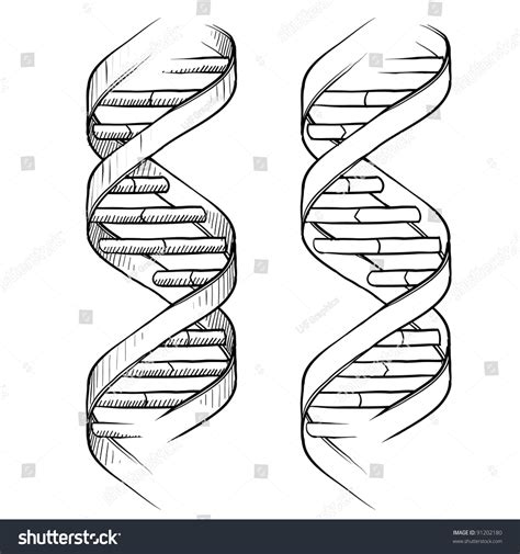 Dna Advertisement Royalty-Free Images, Stock Photos & Pictures | Shutterstock