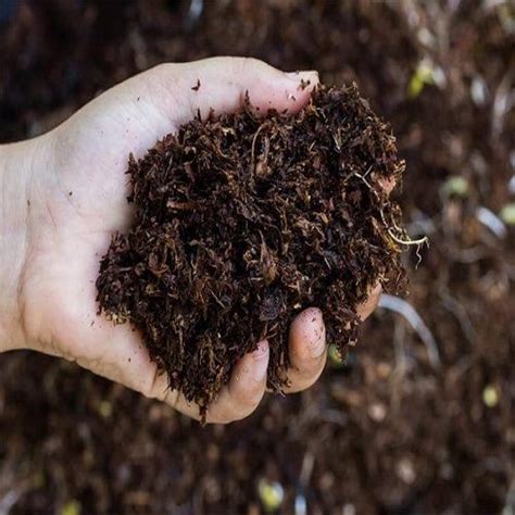 1 Kg Soil Nutrient 100 Percent Bio Organic Manure Fertilizer Application: Agriculture at Best ...