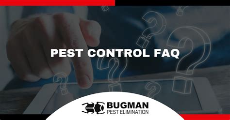 Pest Control FAQ Rochester NY | Rochester Exterminator Q & A