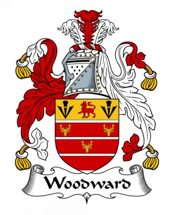 Woodward Family | 156 Tartan products: Kilts, Scarves, Fabrics & more ...