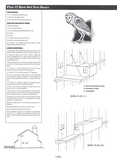 Eastern Screech Owl House Plans