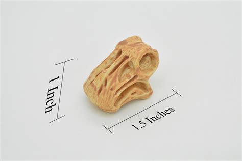 Nigersaurus, Dinosaur Skull Fossil, Very Realistic Rubber Reproduction 2" CH130 B231