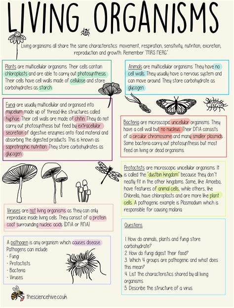 Living Organisms