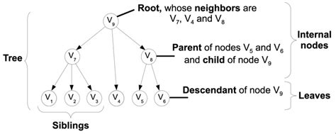 Illustration of graph theory terminology. | Download Scientific Diagram