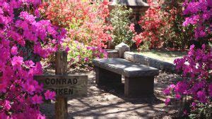 Bonaventure Cemetery Tour: Top Tips & Must-See Spots - Savannah First ...