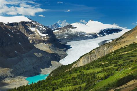 Saskatchewan Glacier Banff National Park - Alan Majchrowicz Photography