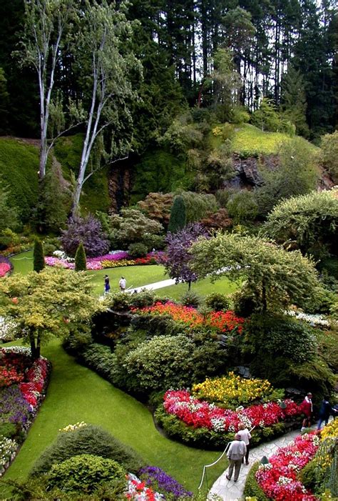 187 best images about Butchart Gardens on Pinterest | Gardens, Canada and Tulip