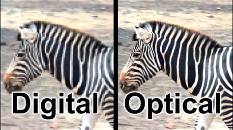 The Difference Between Digital Zoom & Optical Zoom - YouTube