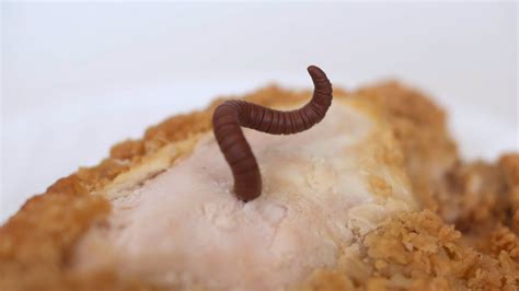 WORM IN CHICKEN! - YouTube