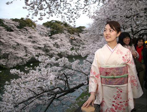 Photos: Cherry Blossom Season Arrives in Tokyo - Newsweek