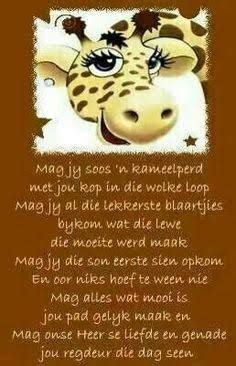 Image result for verjaarsdag wense vir mans | Afrikaans quotes, Bday quotes, Happy birthday quotes