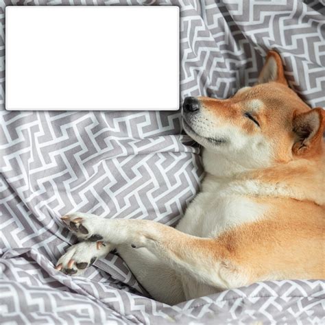 How I sleep knowing Blank Template - Imgflip