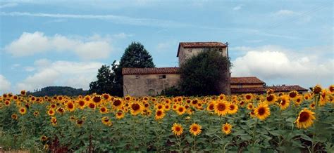 Medieval Umbria - Ecologico Tours