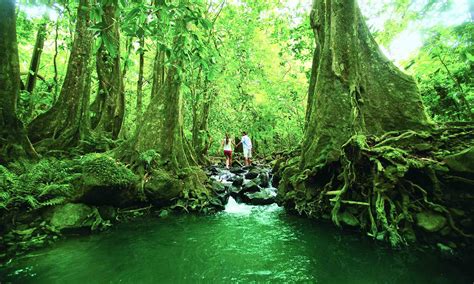 Moorea Hiking, The Pass of the Three Coconuts | Tahiti.com