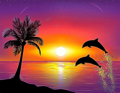 🔥 [40+] Wallpapers Dolphin Sunset | WallpaperSafari