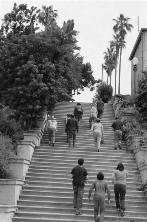 Echo Park Stairways - Echo Park Historical Society | Echo park los ...