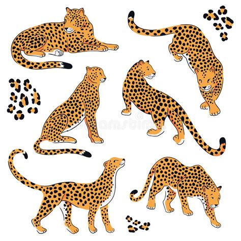 Leopard Silhouettes Stock Illustrations – 313 Leopard Silhouettes Stock Illustrations, Vectors ...