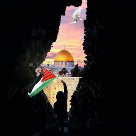 2 mentions J’aime, 0 commentaires - Média balance (@media_balance) sur Instagram : "La Palestine ...