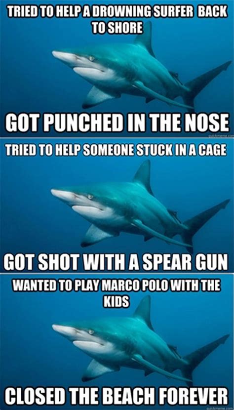 Funny Shark Quotes. QuotesGram