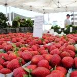 Fruit-Berries 2011-07-02 Torrance Farmers Market 029