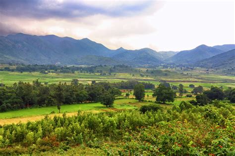 My Day Trip to the Beautiful Araku Valley from Vizag - My Travel Frames