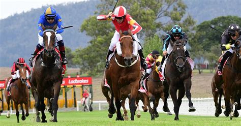 7 Races. 1st @ 1.30pm *Free Entry* Happy Christmas Day Kilcoy Races ...