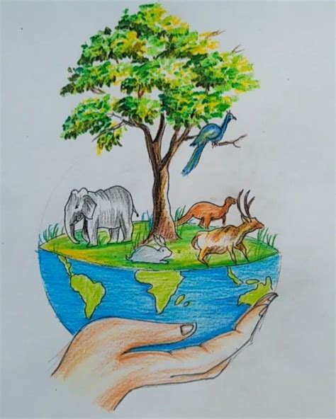 Biodiversity Day Drawing | International Conservation Day