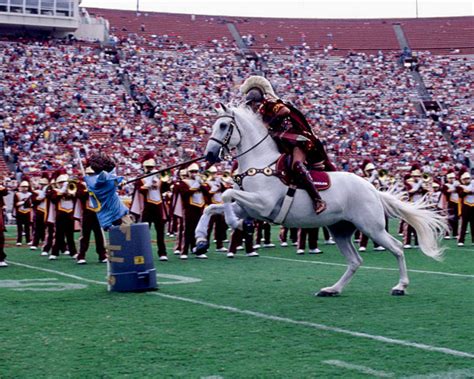 USC Mascot - Tilley Andalusians