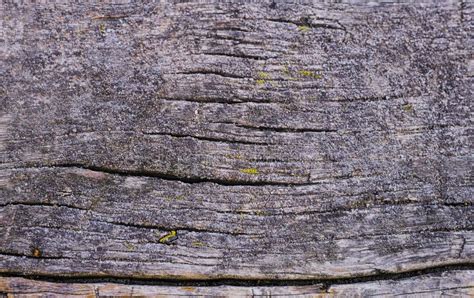 Natural Texture of Old Timber, Old Wood. Close-up Stock Photo - Image ...