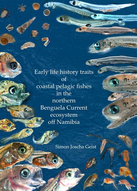 Early Life History Traits of Coastal Pelagic Fishes in the Northern ...