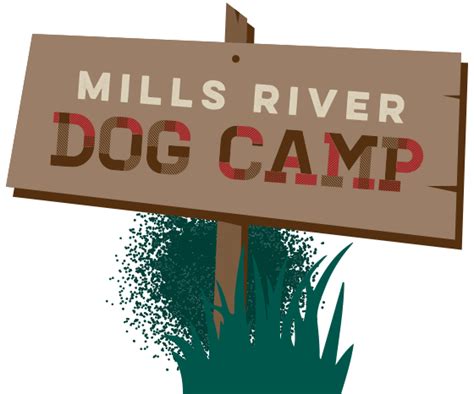 Vaccinations Archives - Mills River Dog Camp