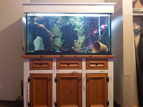 90 Gallon Fish Tank | British Columbia Aquarium Forums