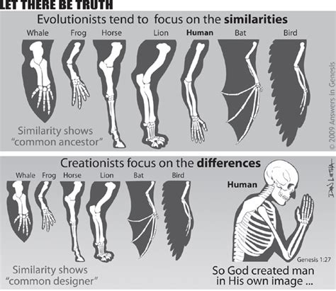 Vestigial Organs—Evidence for Evolution? | Evolution, Revelation bible, Bible study scripture