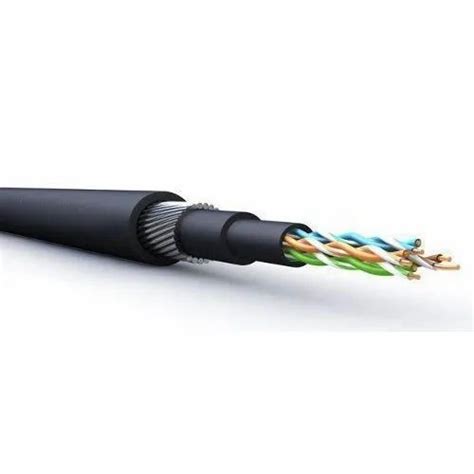 Cat 6 Armoured Cable at Rs 21/meter | Cat 6 UTP Cable in Ahmedabad | ID ...