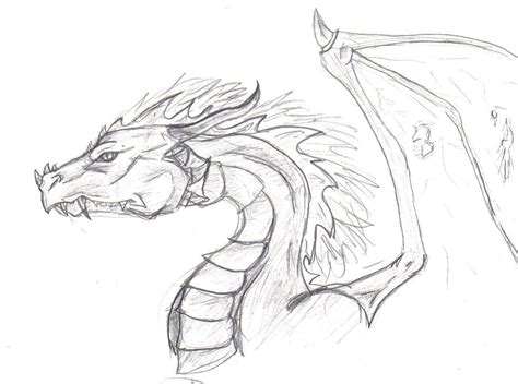 Dragon Head -Sketch by CanisLupes on deviantART | Рисунки драконов, Искусство с драконами ...