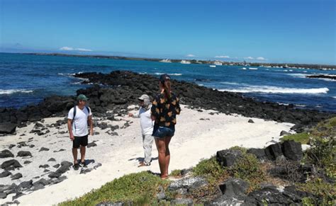 Galapagos Island Cruises & Tours | The Galapagos Islands .NET