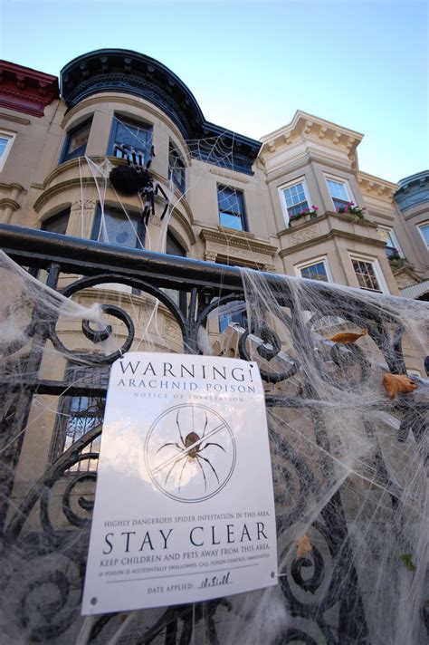 Halloween History | Spider Infestation | Brooklyn Limestone