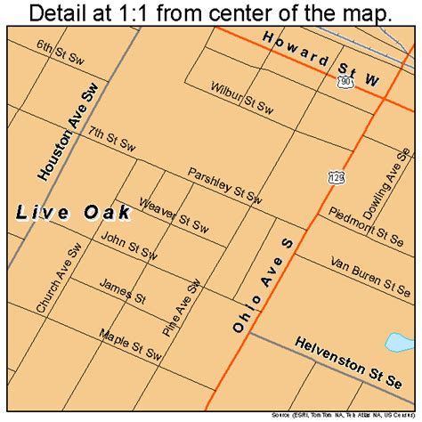 Live Oak Florida Street Map 1240875