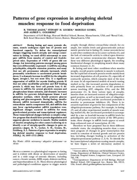 (PDF) Patterns of gene expression in atrophying skeletal muscles ...