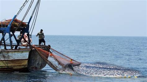 Fisherman Catches Red CrabS Fishing Boat - YouTube