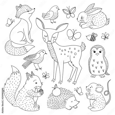 Forest animals set. Cute wild animals outline hand drawn illustration Stock Vector | Adobe Stock