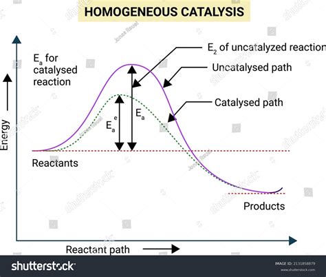 Homogeneous Catalysis Reaction Occurs On Account Stock Vector (Royalty ...