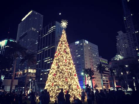 Things to Do for Christmas in Miami