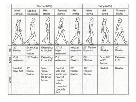 73 best MOVEMENT DONE WELL (Posture & Gait) images on Pinterest ...