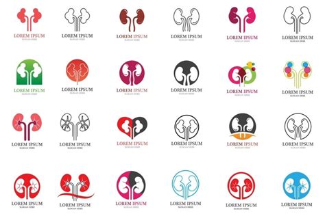 kidney logo vector template